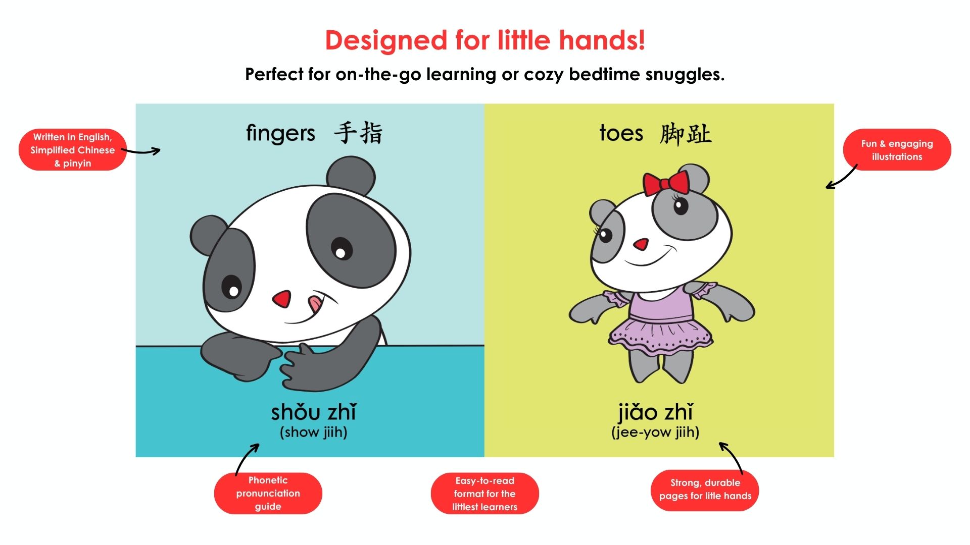 Gordon & Li Li: All About Me introduces young readers to body parts in Mandarin, using playful illustrations and real-life examples to teach words.